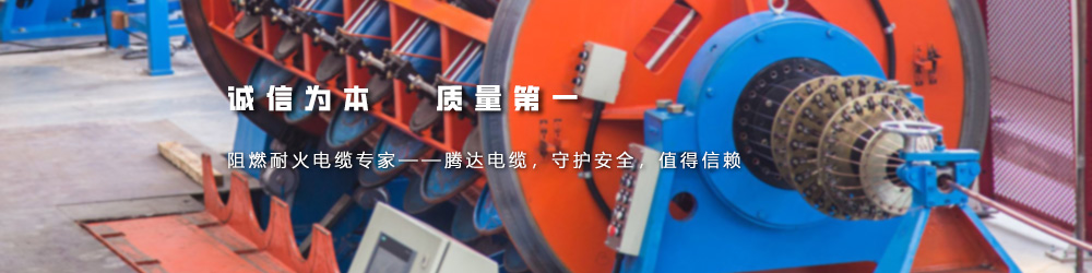 騰達(dá)電纜有限公司